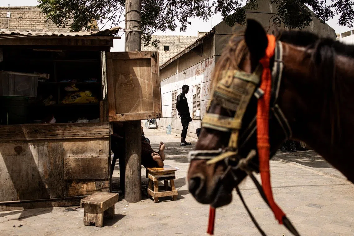 A man standing in a side street behind a horse in Dakar, on Feb 20, 2024.