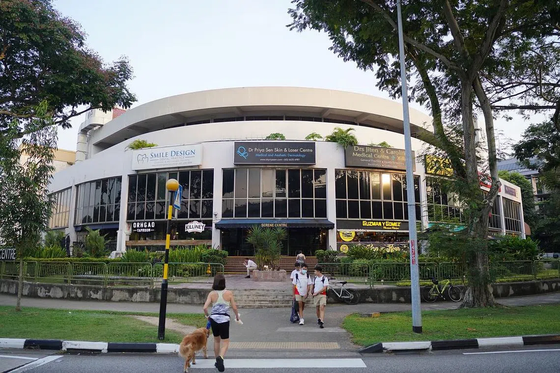 Built in the 1980s, Serene Centre comprises 30 retail/F&B units, 10 apartment units and carpark facilities.