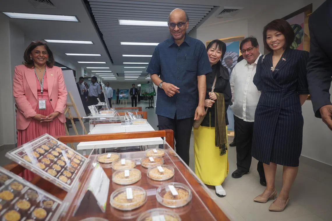 (From left): Yvonne Pinto Director General of IRRI; President Tharman Shanmugaratnam and his spouse ,Ms Jane Ittogi ; Secretary of Health, Philippine Government. Dr. Teodoro Herbosa; and Constance See, Singapore Ambassador to the Philippines; touring the International Rice Research Institute (IRRI), on Aug 17, 2024.