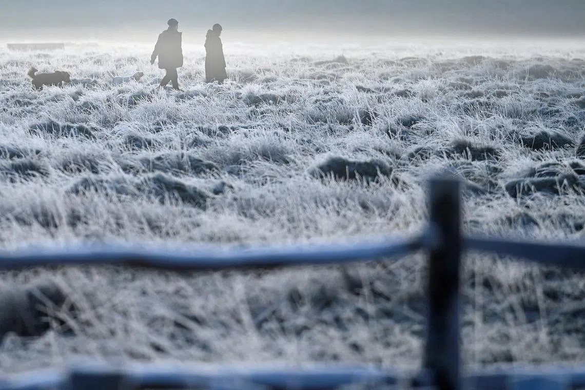 People walk with a dog over frozen grassland as the cold weather continues, in Bushy Park, London, Britain, Jan 19, 2023. 