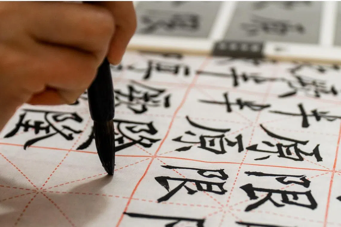 The Chinese language is best learnt through heartfelt experiences, and not in service of lofty, daunting ideals of cultural preservation.