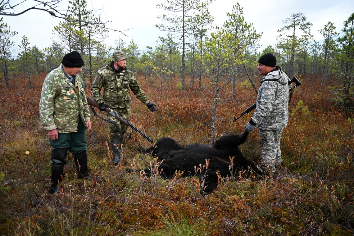 Hunters stand beside the carcass of a bear they shot outside the settlement of Podtesovo, located on the banks of the Yenisei River on Sept 27.
