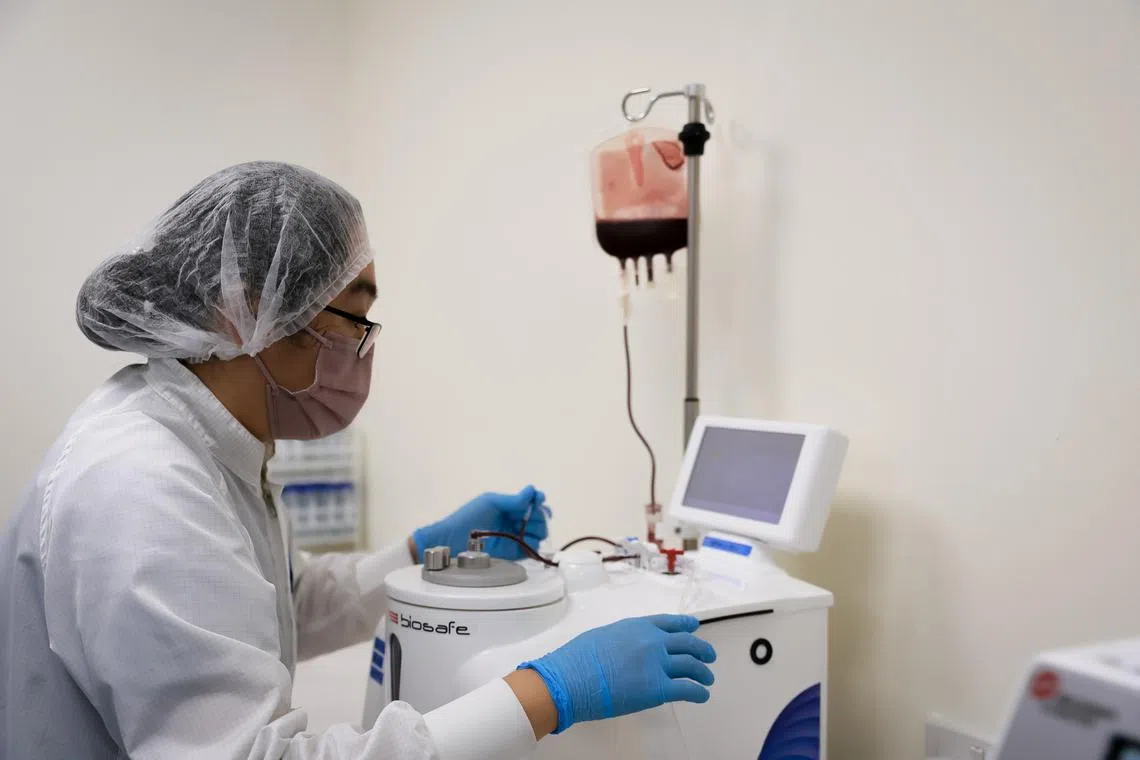 The Straits Times reported on Jan 9 that all cord blood banks in Singapore are subjected to inspections once every two years.