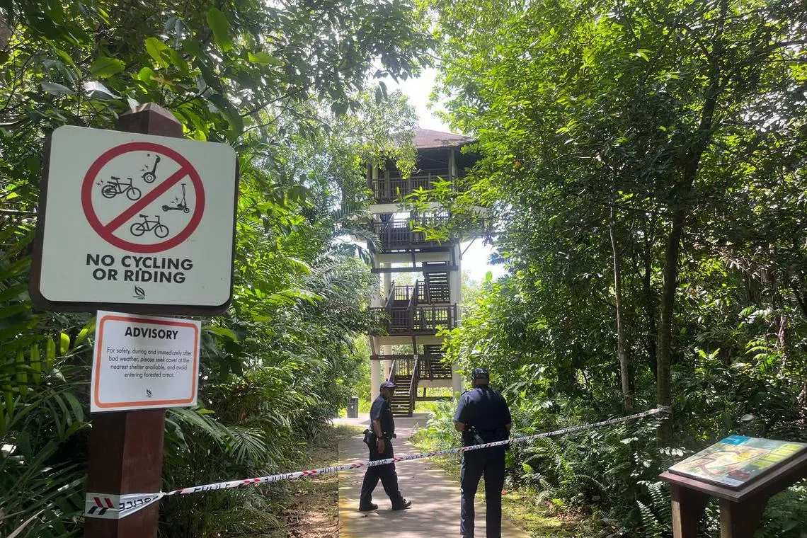 When The Straits Times arrived at around 12.40pm, both paths leading to the bird watching tower were cordoned off. 