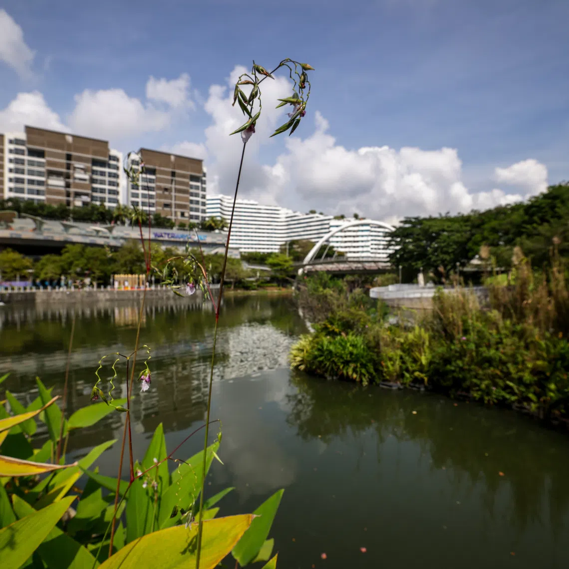 Scenic spots like Punggol Waterway Park (above) could inspire kids in the National Heritage Board and OH! Open House’s latest initiative.