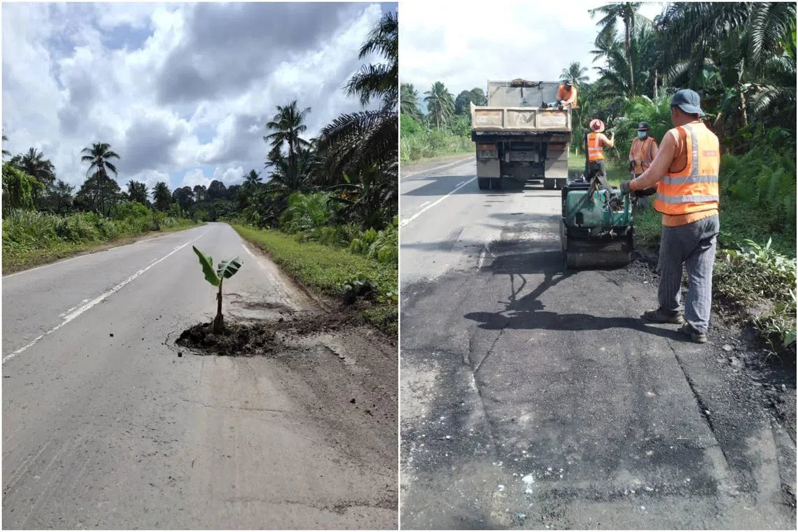 Mr Mahathir Aripin posted a picture on his Facebook page of the banana plant standing upright in the pothole along Jalan Sandakan-Lahad Datu.