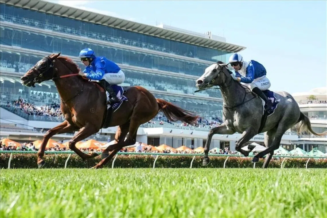 Rising star Tentyris (Damian Lane) defeating My Gladiola (Jamie Mott) in the Group 1 Black Caviar Lightning (1,000m) at Flemington on Feb 14. The pair renew rivalry along with 13 other rivals in the mix in the Group 1 Newmarket Handicap (1,200m) at the same track on March 7.