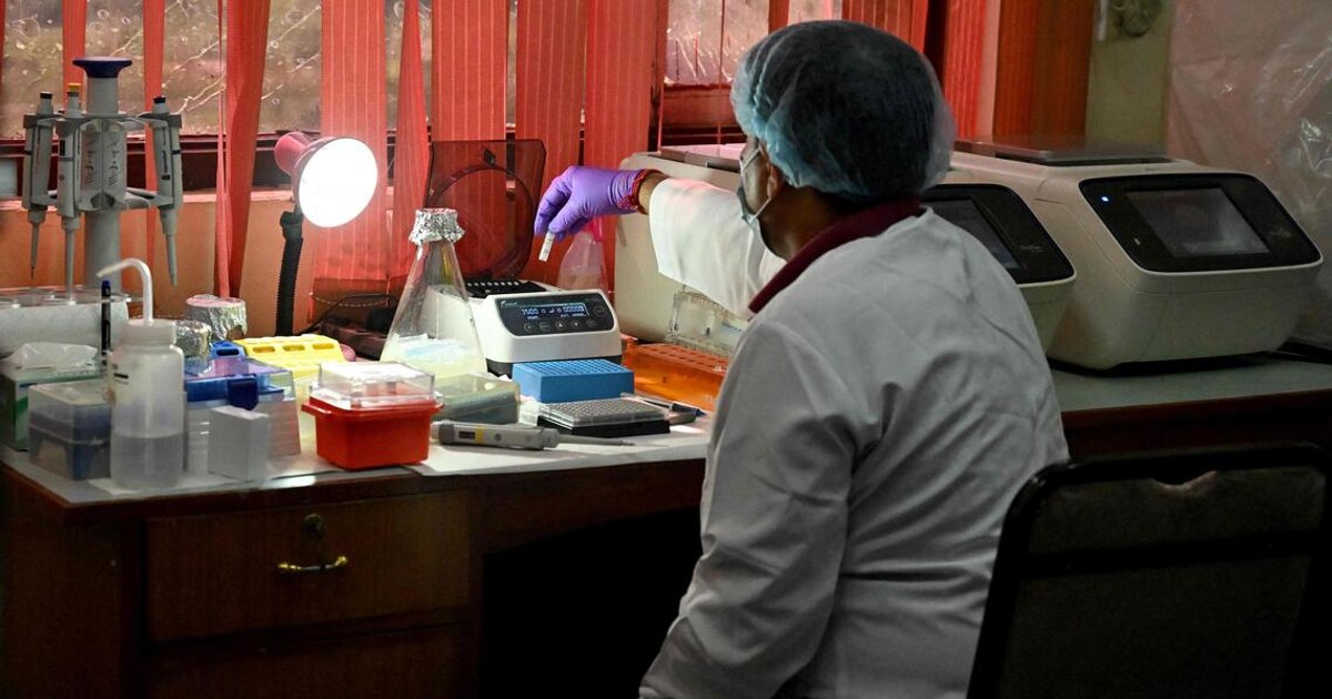 Nepal uses DNA testing to identify flood victims | The Straits Times