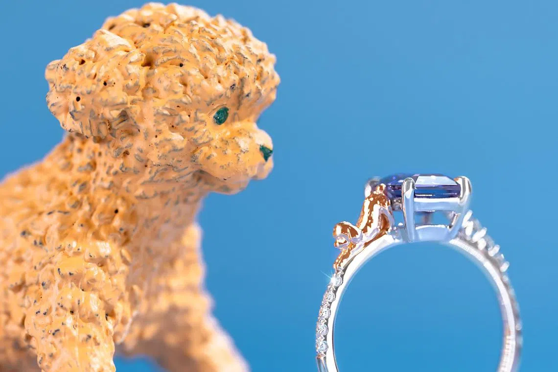 jspets06 - Customised pet jewellery from Madly Bespoke Jeweller.


Source/ Copyright: MADLY GEMS