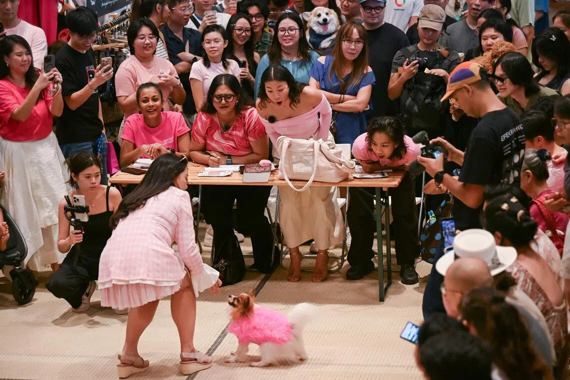 Nathania Ong (centre, standing from seat) during The Proud Pet Parade 2026 at New Bahru on June 6. Ong was part of the judging panel in the search for Bruiser and Rufus, two dogs which will appear onstage during the run of Legally Blonde – The Musical.
