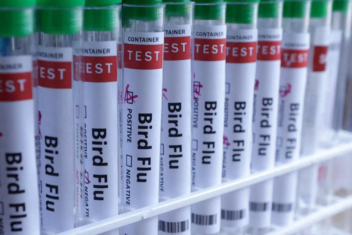 HPAI has spread around the world since 2021.