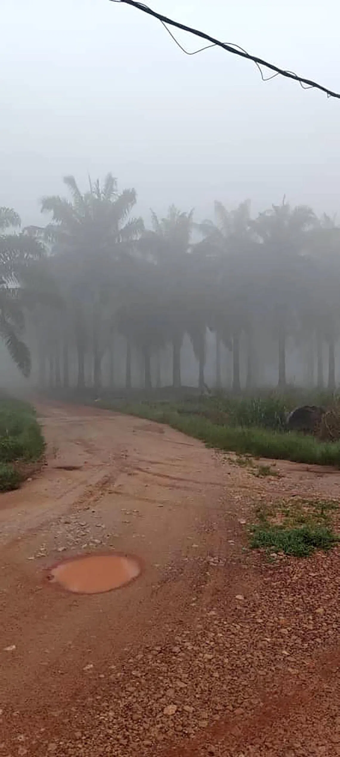 Heavy haze shrouds the access road to Tan Chee Kiong’s farm in Bukit Gambir, Johor on Oct 9.