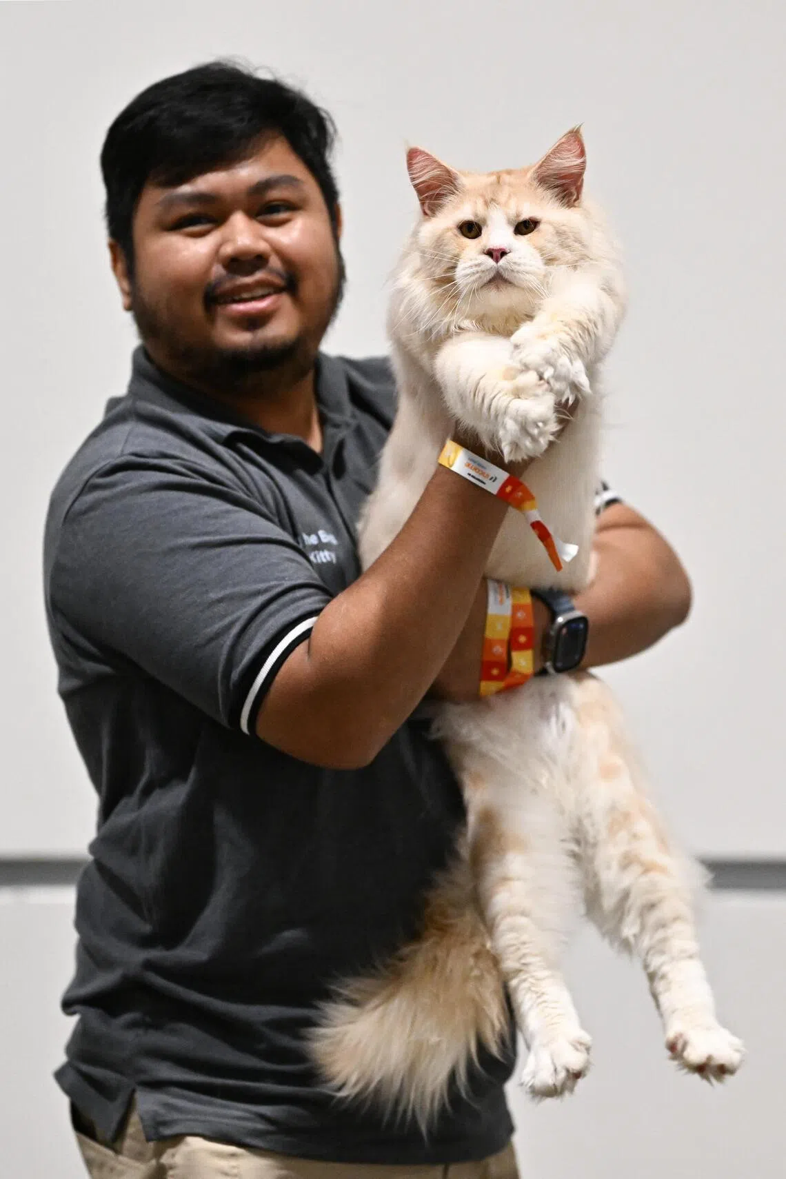 Two and half year old male Idaman and his owner, Afiq Asryani.