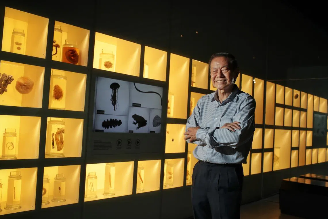 Professor Leo Tan has served as the director of the Science Centre, was the founding dean of NIE and help to set up the Lee Kong Chian Natural History Museum.