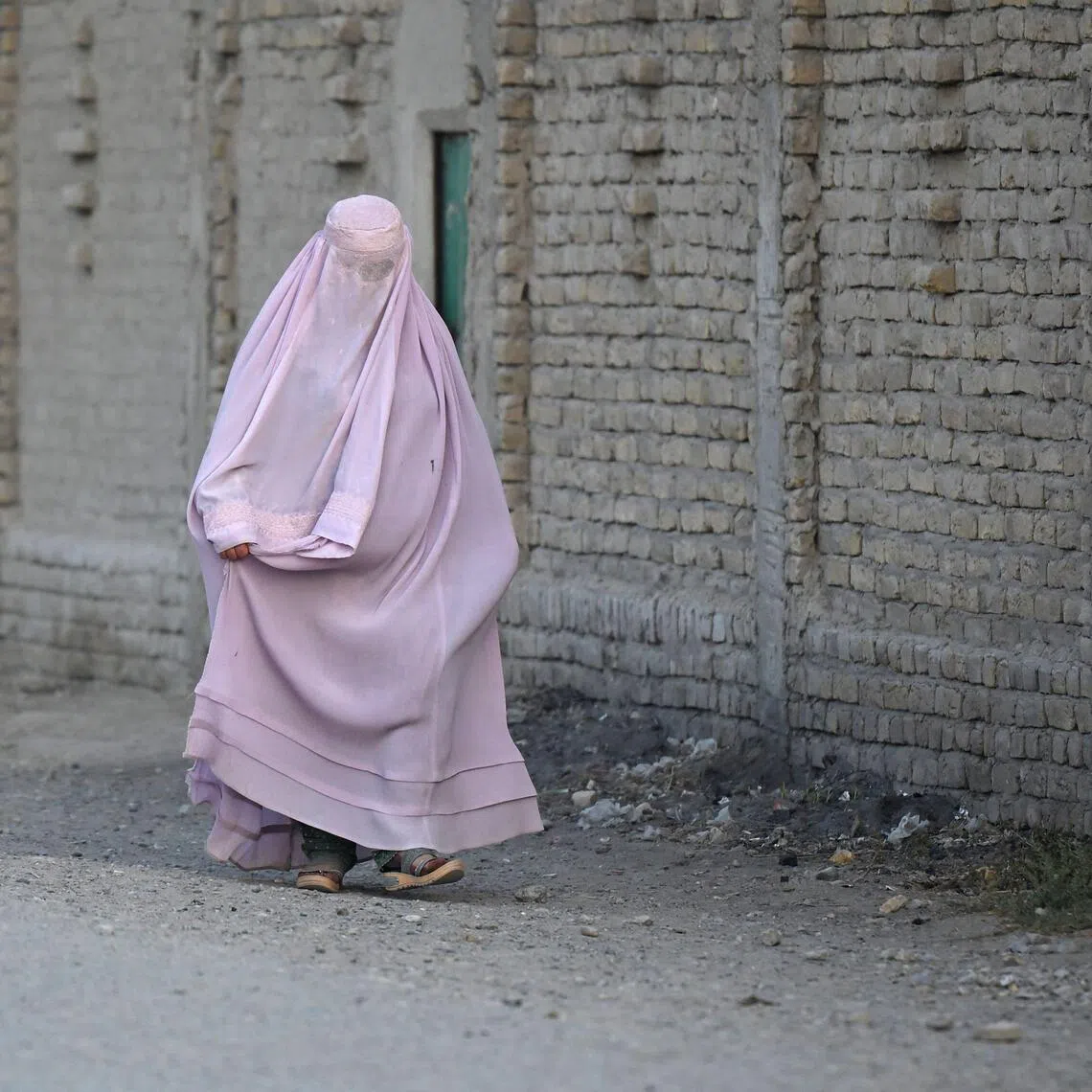 The Taliban administration - recognised solely by Russia - has imposed a series of restrictions on women that the United Nations has characterised as “gender apartheid”.