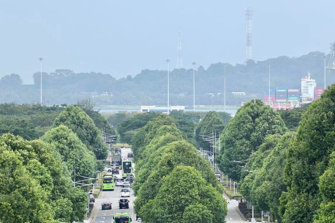 February also marks the dry phase of the north-east monsoon season.