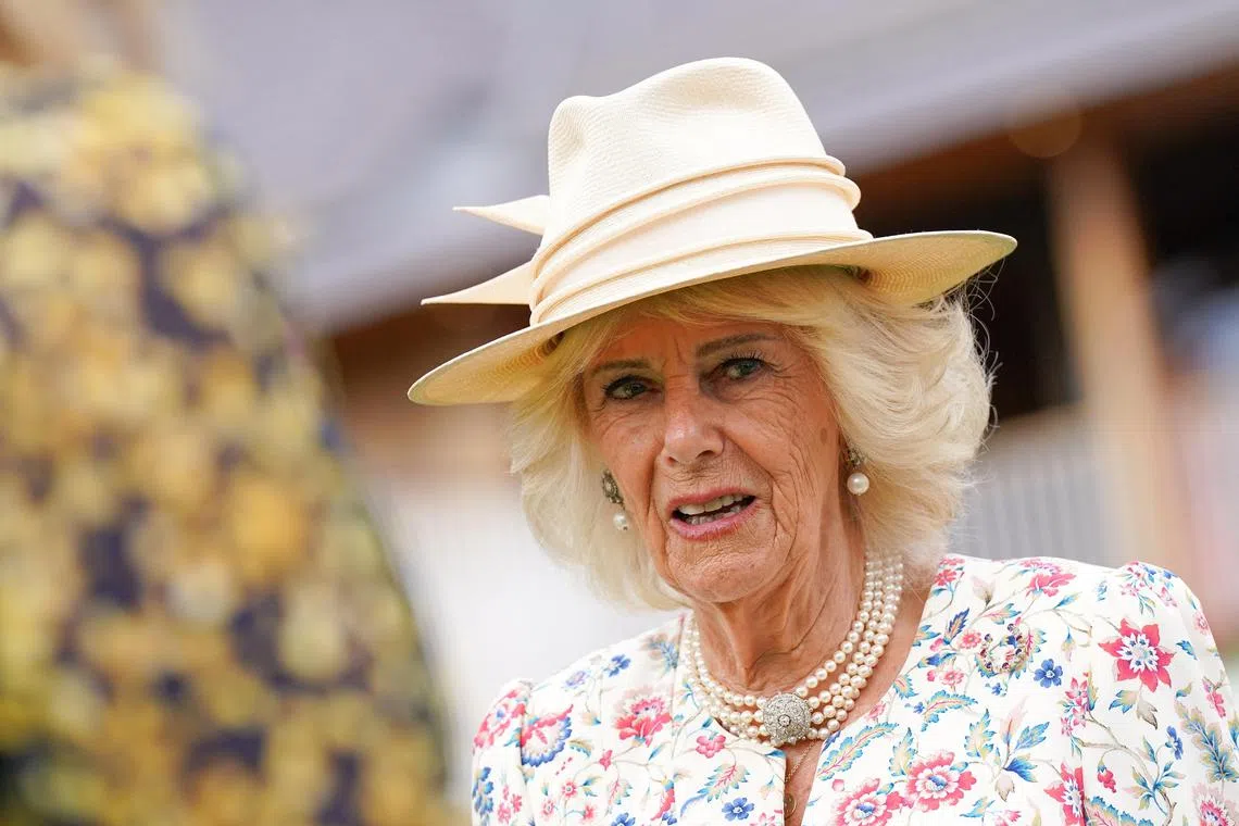 Queen Camilla was travelling on a train to Paddington station in London when she was about 16 or 17-years-old when a man started to assault her, the book said.