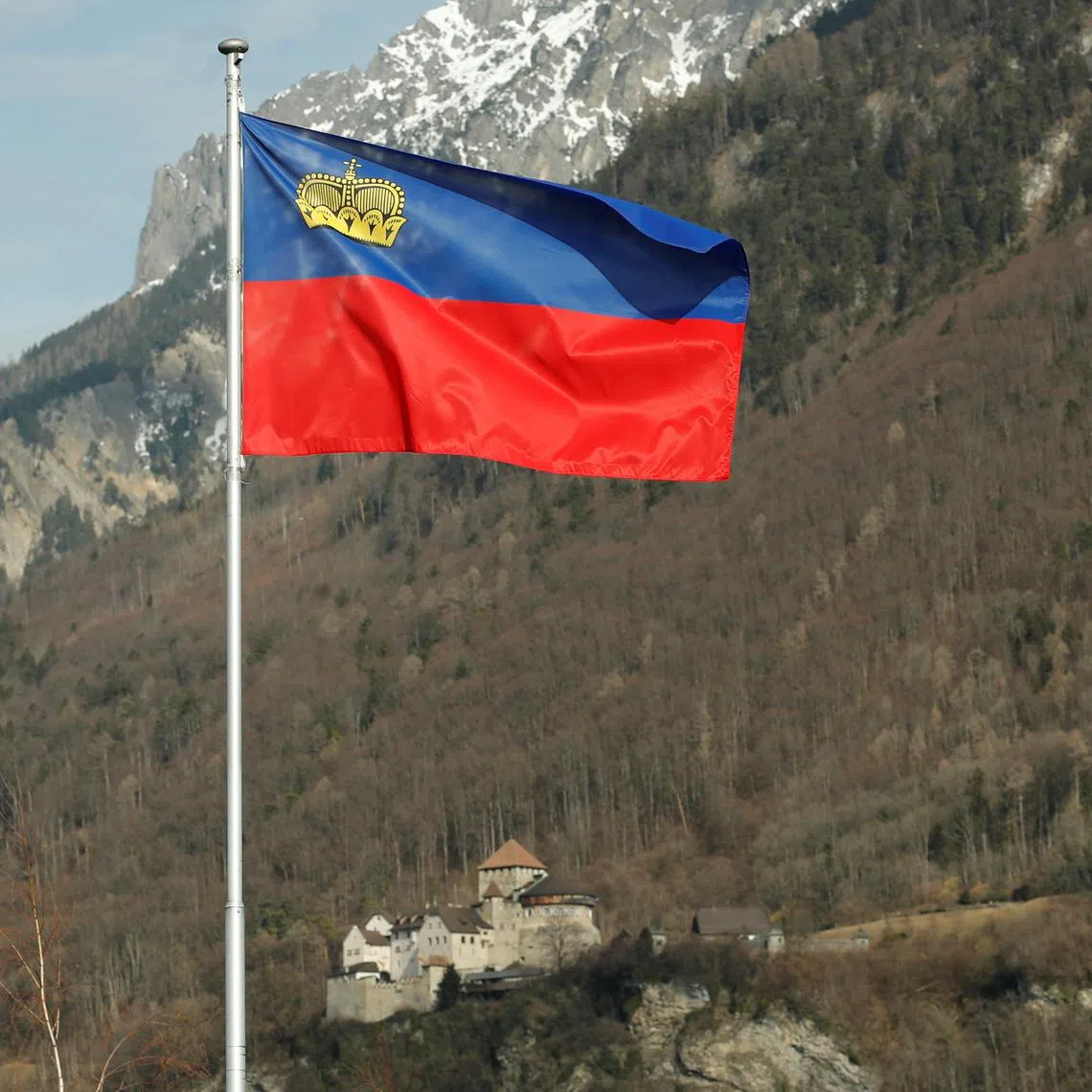 Prince Constantin served as chairman of the supervisory board of the Liechtenstein Group, the largest royal family-owned private banking and asset management group in the world.