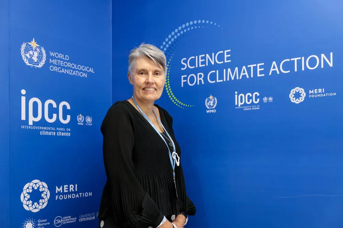 Dr Debra Roberts, a leading scientist with the United Nations Intergovernmental Panel on Climate Change and a global expert on adaptation and urban resilience, at the COP27 climate talks in Sharm El Sheikh in Egypt.