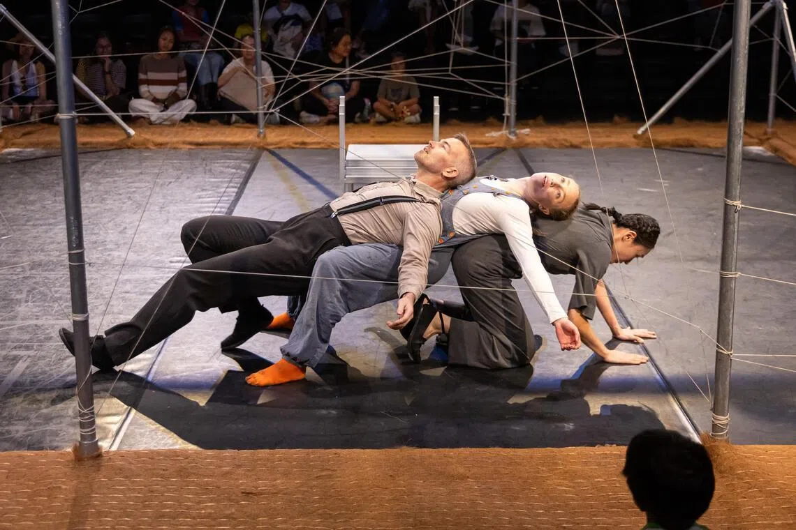 Tiger Tale begins with a family locked in routine, before being liberated by playfulness.