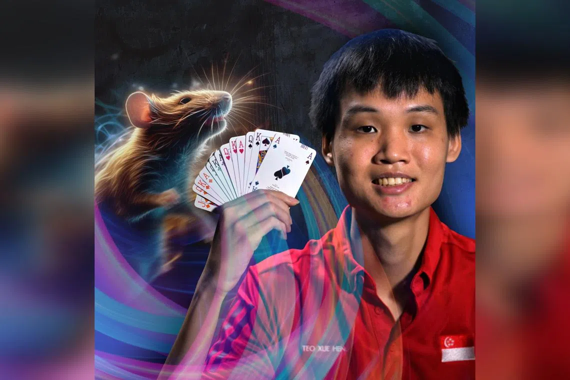Bridge player Teo Xue Heng.