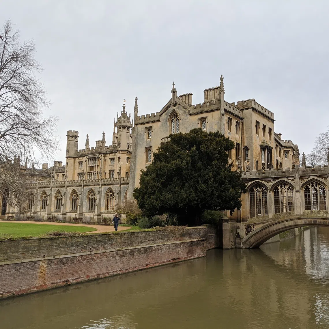 The University of Cambridge has announced a probe into snowballing claims that a professor plagiarised parts of his PhD thesis.