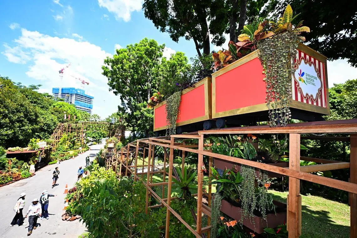The 8m-high Floral Roller Coaster is the largest non-competitive installation in the history of Singapore Garden Festival to date.