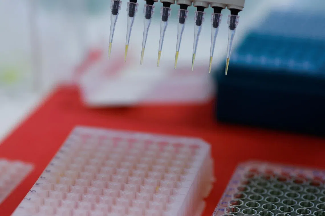 An employee dilutes poultry serum samples for ELISA test for the detection of antibodies to the avian influenza virus at the Reference Laboratory of the World Organization for Animal Health in Campinas, Brazil in 2023.