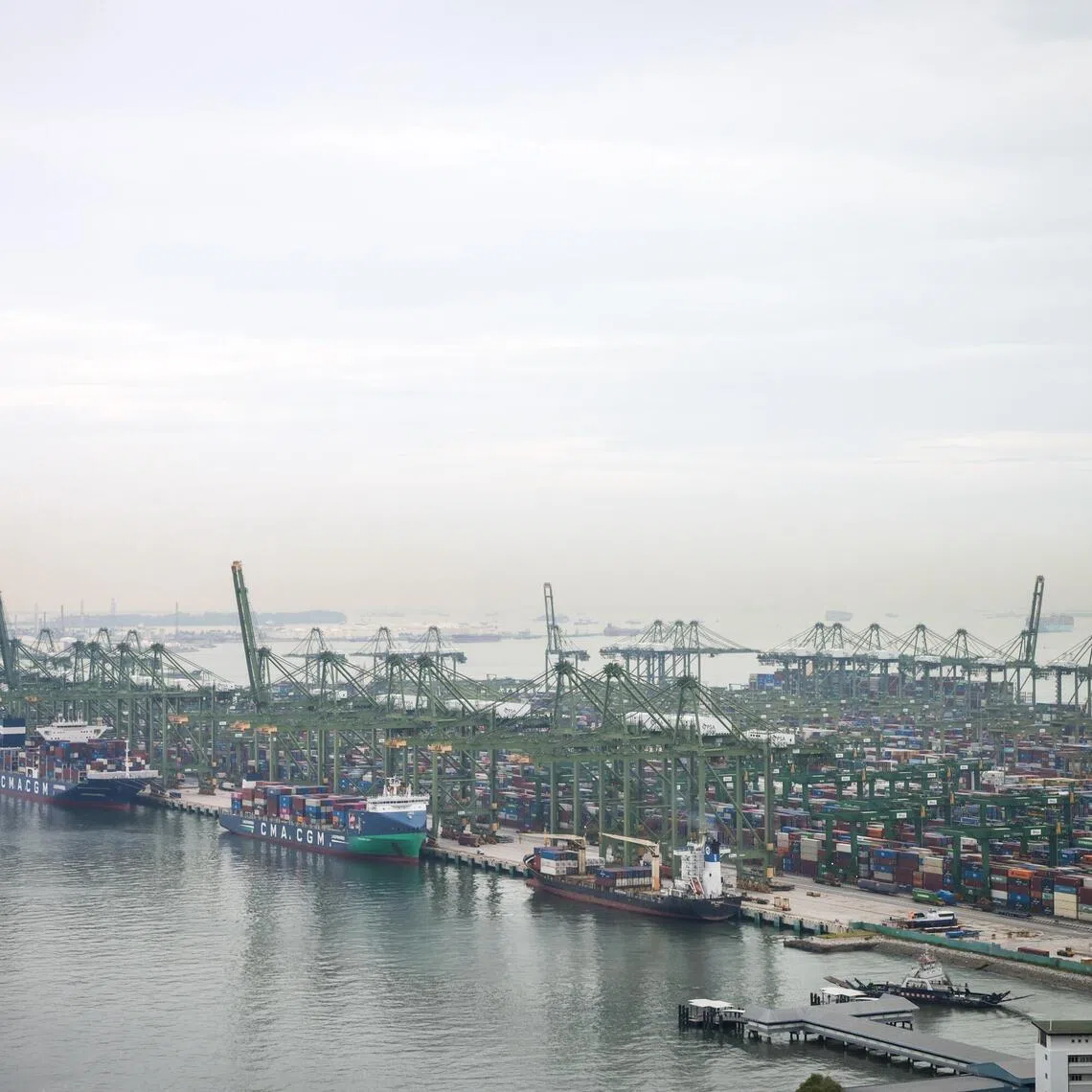 About a third of Singapore’s domestic exports to the US could be subject to a 12.5 per cent duty under forced labour tariffs, an allegation that the Republic disputes. 