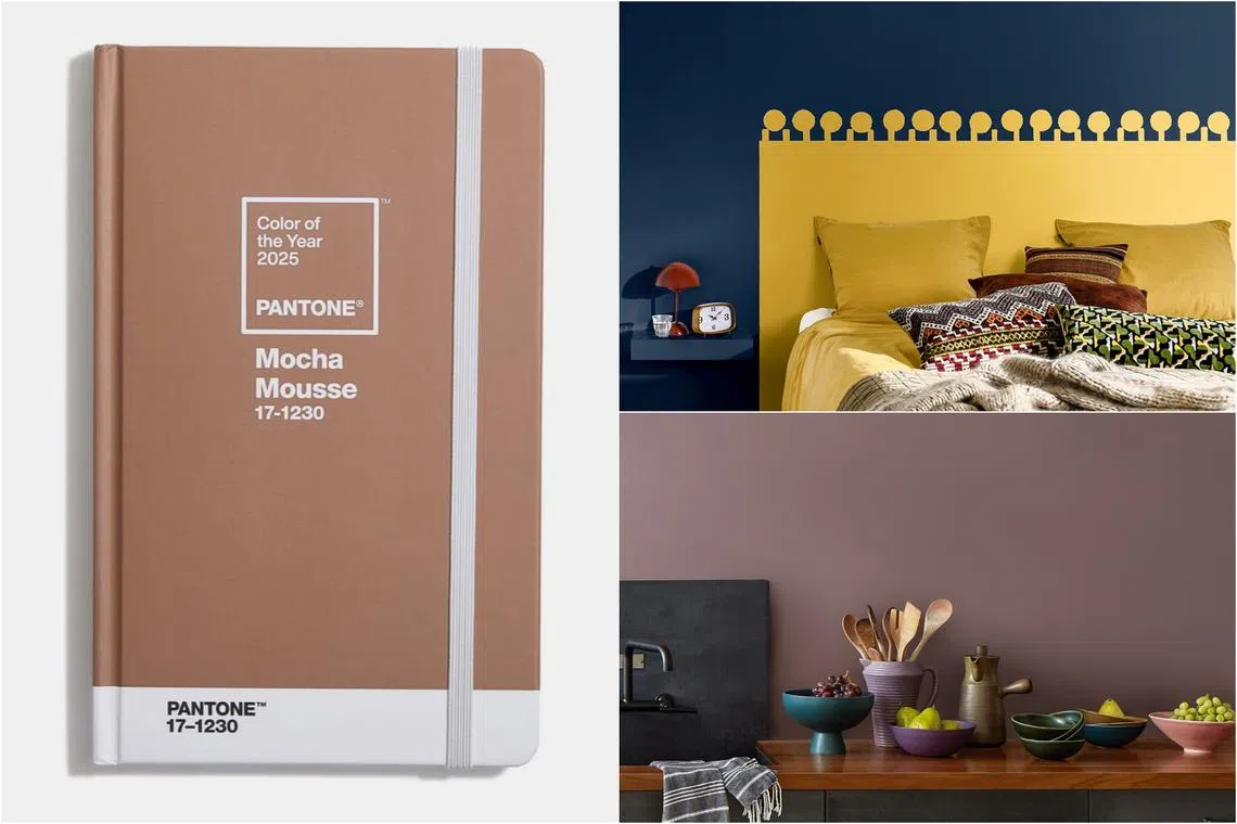 Mocha Mousse, True Joy and Cinnamon Slate are some of the colours picked as "colours of the year" for 2025 by industry players. 