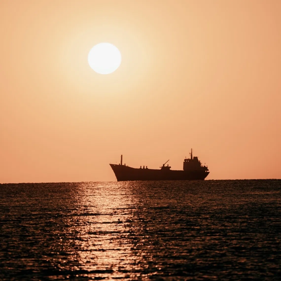 Noah was able to fit a breeding pair of each of the 5.6 million or so terrestrial species onto his 300 cubits-long ark.