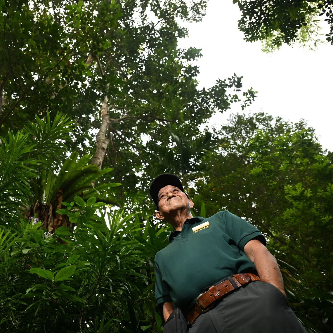 Mandai Wildlife Group assistant manager for horticulture Said Mohamed spent 44 years working with plants and has both their native and biological names at his green fingertips.