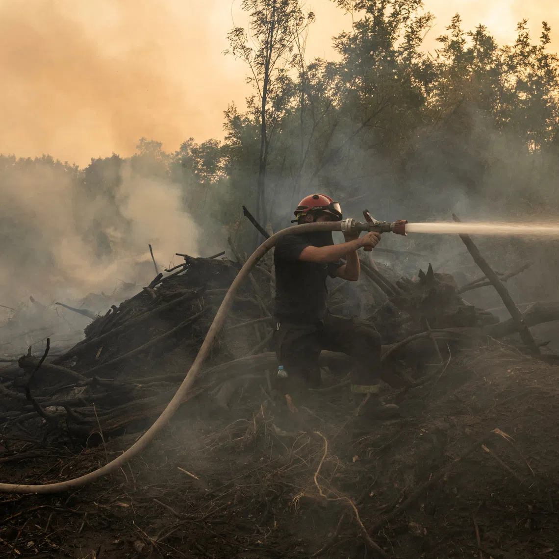 A firefighter battles a wildfire in Deliblatska Pescara, Serbia, August 18, 2026. REUTERS/Marko Djurica     TPX IMAGES OF THE DAY