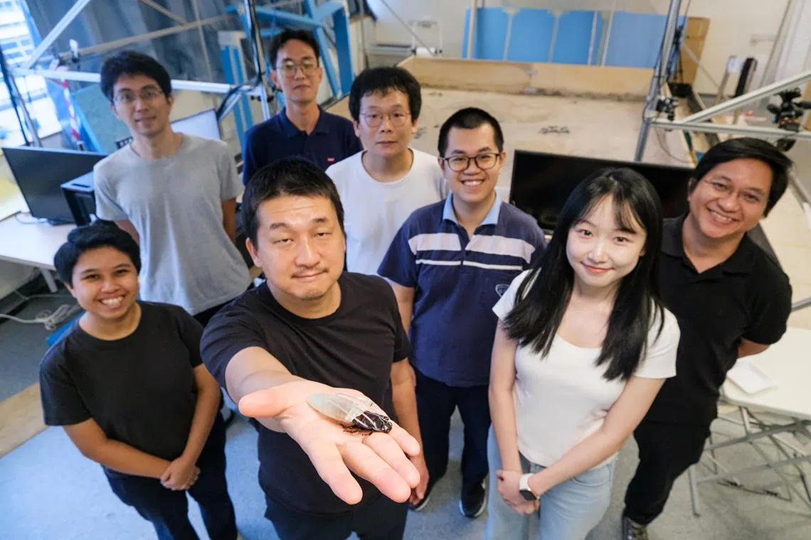 NTU  professor Hirotaka Sato (second from left), pioneer of the cyborg insect technology, holding a cyborg Madagascar hissing cockroach with the new diving suit.