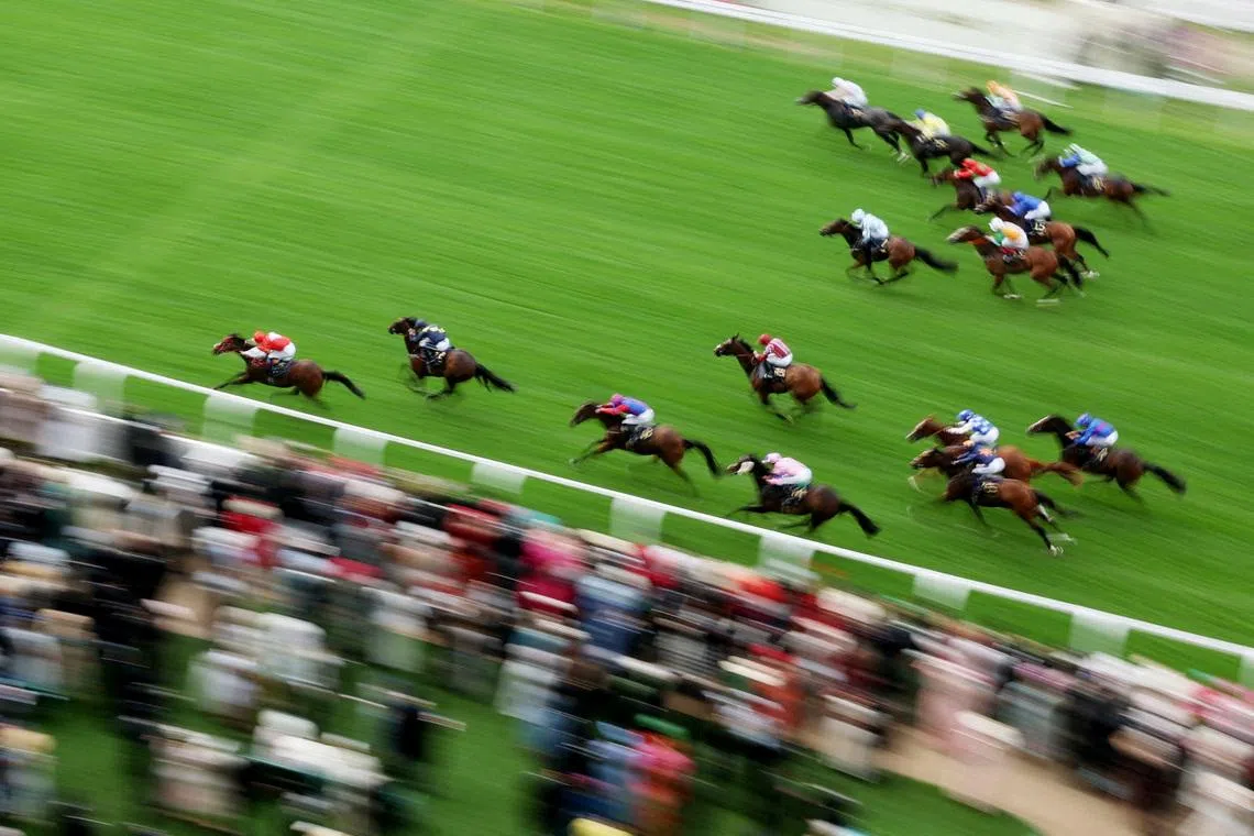 A race at the Royal Ascot 2026 horse racing festival, held at the Ascot Racecourse, in Britain, on June 17, 2026.