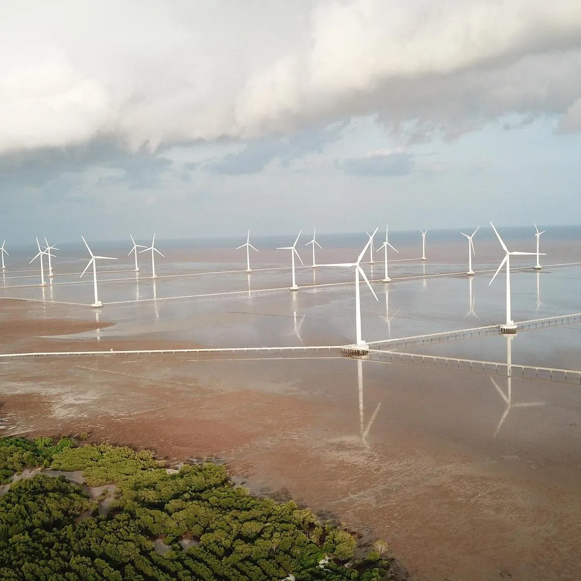 The Bac Lieu wind farm phase 1 and phase 2 in Nha Mat Ward, Vinh Trach Dong Commune, Bac Lieu city is located next to the mangroves. This wind farm has been in operation for 10 years.