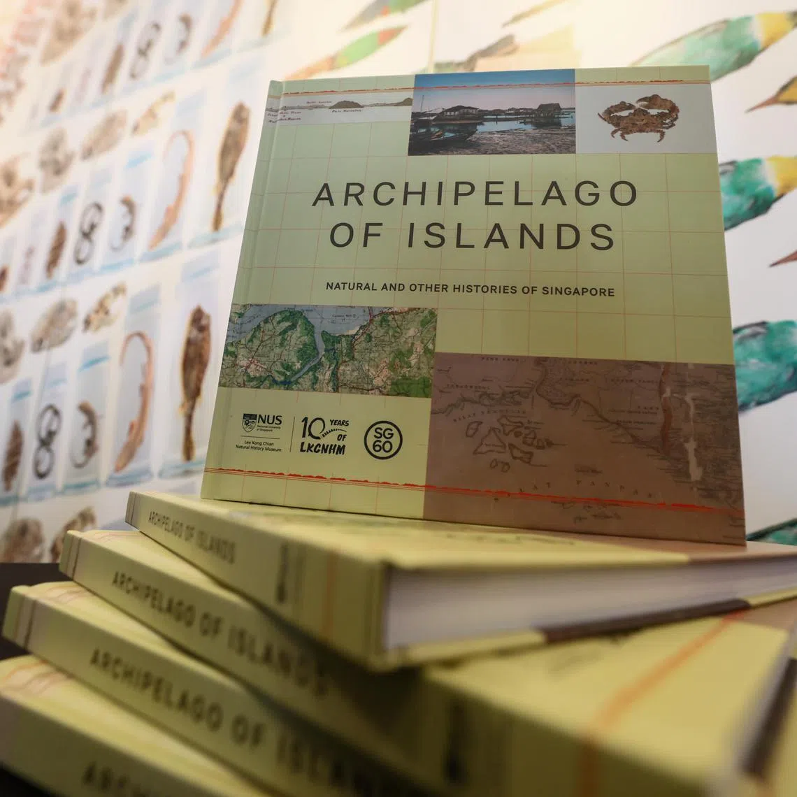 CMG20250506-Darwis01 陈渊庄/ 蔡玮谦/ 国大李光前自然历史博物馆10周年 [lee kong chian natural history museum]