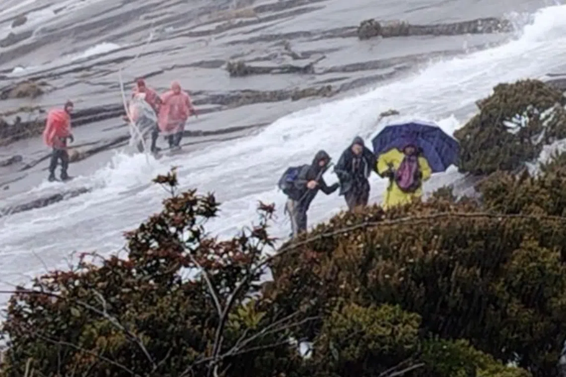 Forty-nine people on Mount Kinabalu were brought down safely after heavy rains saw water gushing down the summit trail.