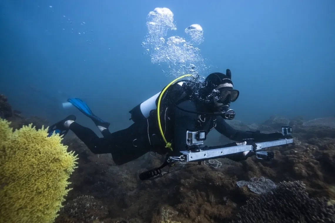 Australian marine biologist and Mission Blue Hope Spot Champion Ben Fitzpatrick (seen conducting diver operated stereo-video research here) hopes to conserve the Exmouth Gulf. PHOTO: ROLEX/TOM CANNON