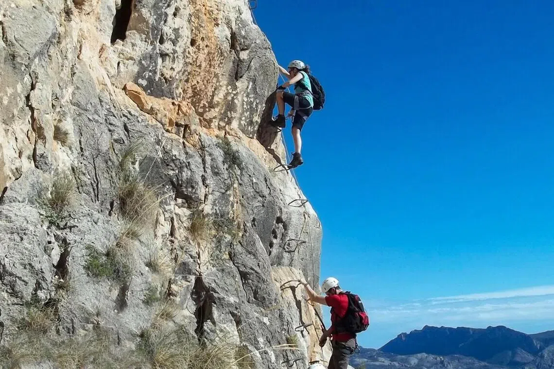 Some travellers surveyed are planning a trip specifically to develop a skill while on vacation.
