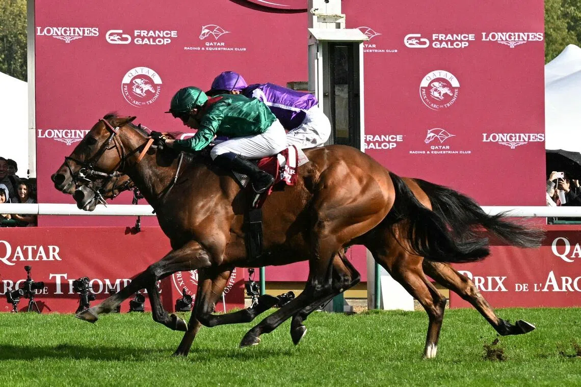 French jockey Mickael Barzalona riding Daryz to a narrow victory over Belgian jockey Christophe Soumillon's Minnie Hauk in the Qatar Prix de l'Arc de Triomphe at ParisLongchamp racecourse on Oct 5, 2025.