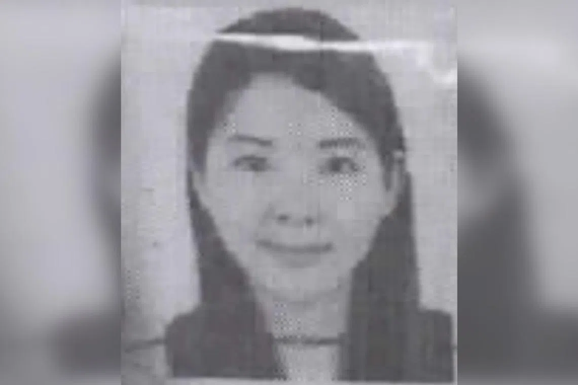 Chinese national Lin Baoying, 44, now faces 10 charges, including one charge of perverting the course of justice.