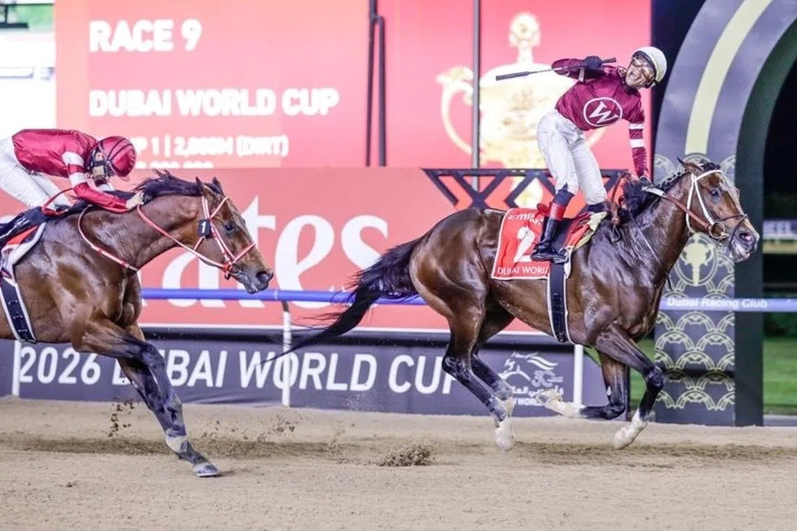 Magnitude springs upset in 30th Dubai World Cup