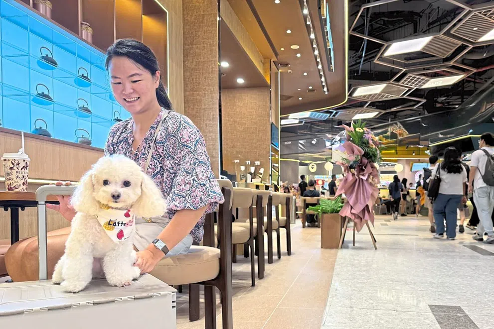 New guidelines aim to resolve Selangor’s shopping mall pet dispute