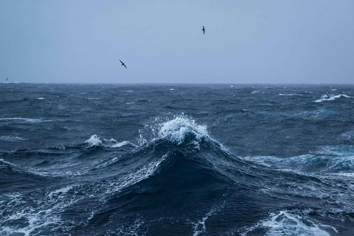 A landmark UN high seas treaty would establish a legal framework to extend swaths of environmental protections to international waters around the globe.