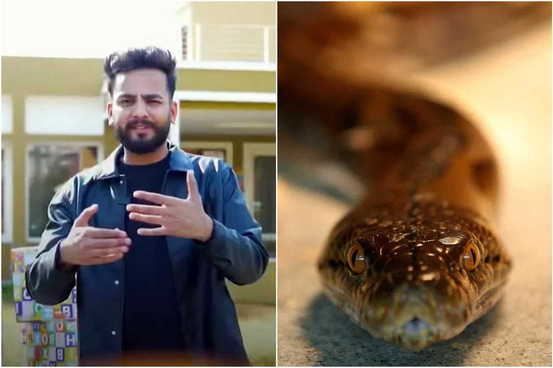 The venom was allegedly used to make opioids, reported Times of India.