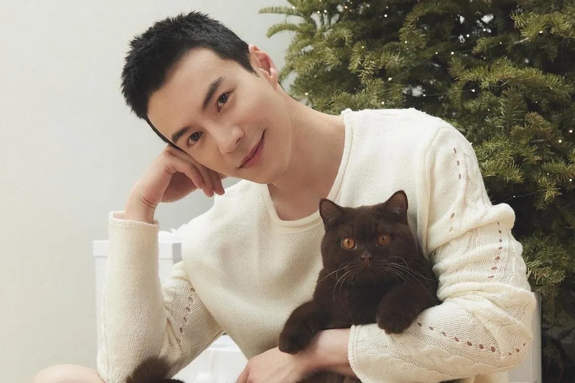 Malaysia-born Singaporean actor Lawrence Wong with Toto, a chocolate British shorthair.