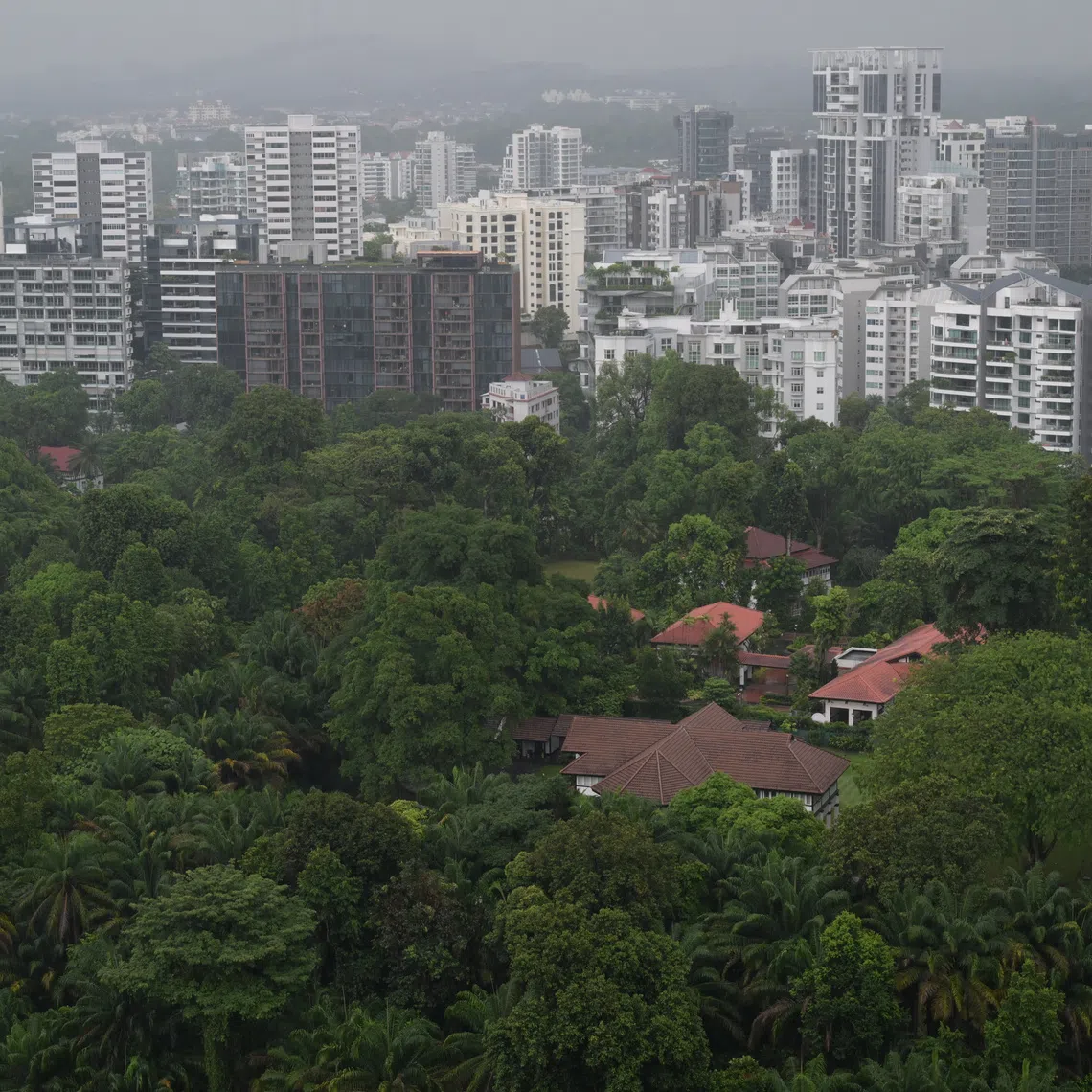 Global green bond and loan issuance has reached a record US$947 billion (S$1.2 trillion) so far in 2025.