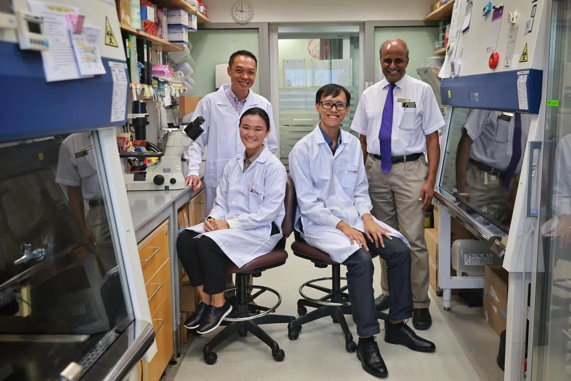 ST20230505_202383407045/avaccine/Zhaki/Jason Quah
(L-R) Prof Ooi Eng Eong; Eugenia Ong, principal research scientist; Chan Kuan Rong, principal research scientist; Prof Paul Tambyah pictured on May 5, 2023.
//
A study by the National University of Singapore's Yong Loo Lin School of Medicine points to a number of criteria, including genetic factors, that could increase the risk of myocarditis from mRNA vaccinations.