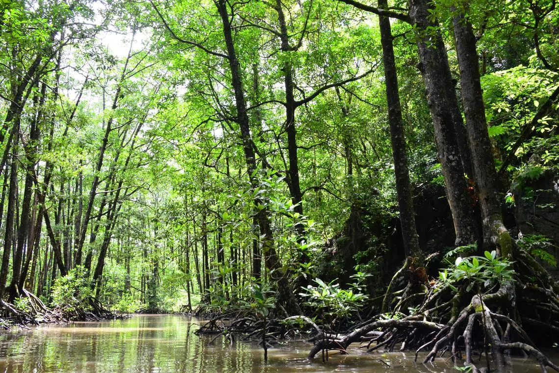 Critical ecosystems need considerable human assistance to recover.